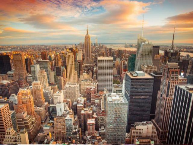 NY1-7295 gallery 3