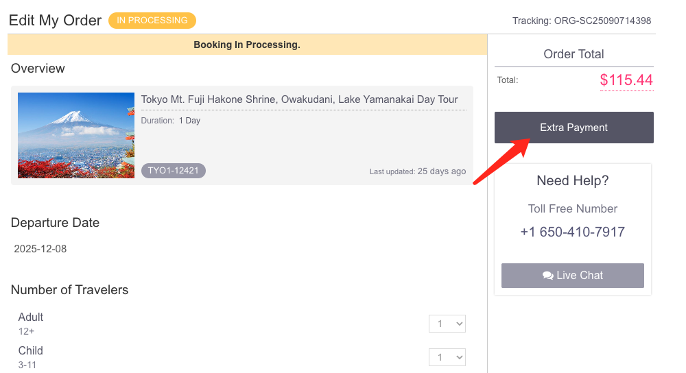 Extra Payment Step 3