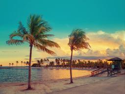 OR1-7213 scenics 1