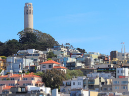 SF1-10864 scenics 5