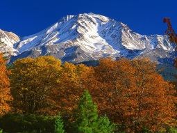 SF3-144 scenics 2