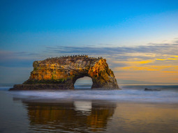 SF2-142 scenics 1