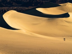 LV1-9102 scenics 1