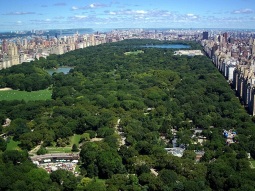 NY1-7295 scenics 3