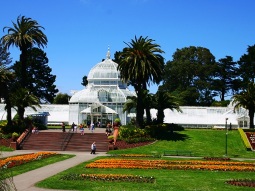 SF1-6124 scenics 8