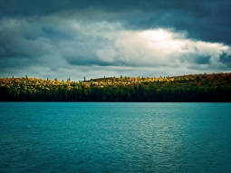 NY2-11756 scenics 2