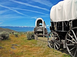 SF3-144 scenics 2