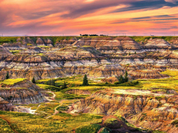 CA6-2984 scenics 3