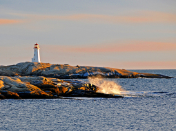 TO7-6255 scenics 3