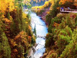 MO3-8297 scenics 3