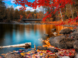 CH1-8796 scenics 1