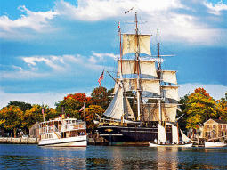 NY1-6436 scenics 2