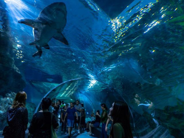 SEA LIFE Bangkok Ticket