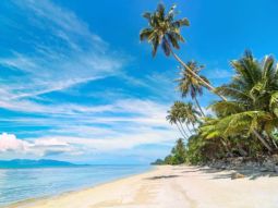 PY1-T-12376 scenics 2
