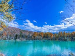 SA1-13788 scenics 3