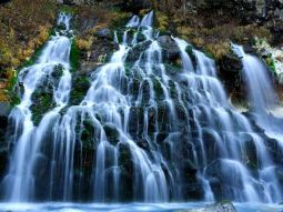 SA1-13789 scenics 4