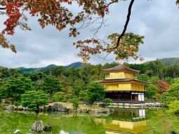 OSA1-12426 scenics 1