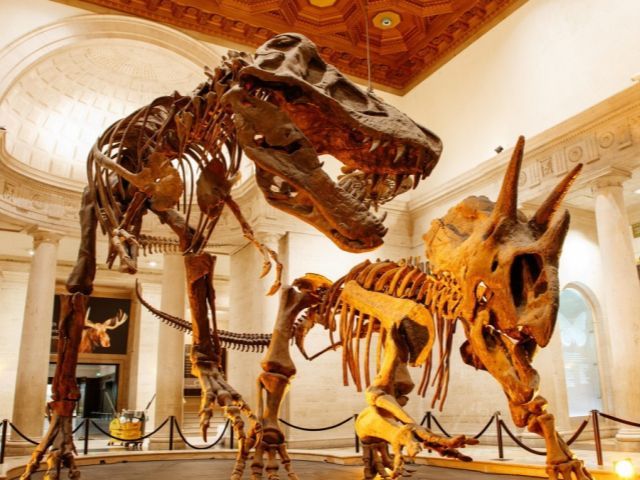 Natural History Museum Los Angeles Tickets