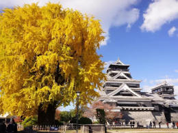 熊本旅游