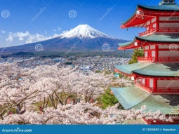 TYO1-12417 scenics 6