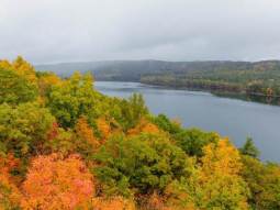 NY2-11 scenics 3