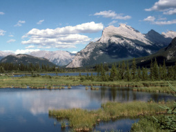 CA4-13841 scenics 5
