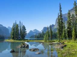 CA3-13941 scenics 3