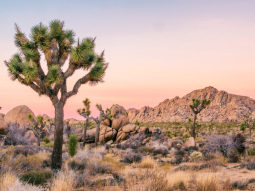 LA1-7151 scenics 1