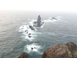 SA1-13780 scenics 2