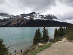 CA4-9181 scenics 7