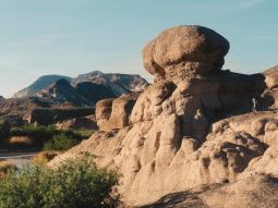 CA6-2984 scenics 2