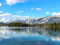 CA4-9181 scenics 8