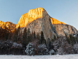 SF3-6960 scenics 3