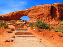 SF10-13571 scenics 1