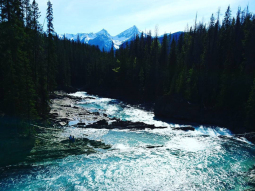 CA3-13941 scenics 6