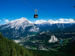 CA4-9181 scenics 6