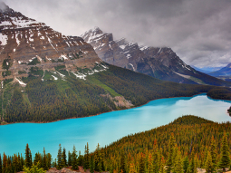 SE7AB-13893 scenics 5