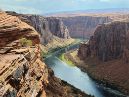 PG-11997 scenics 6