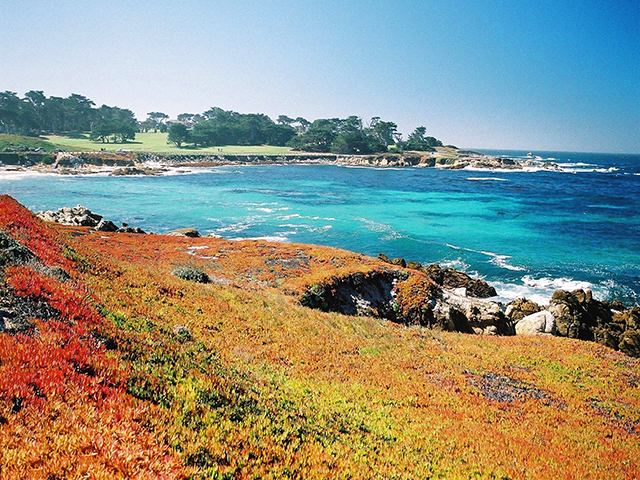 Los Angeles + 17-Mile Drive + Highway 1 + Big Sur + Napa/Marin + Sonoma Winery + San Francisco City Tour + Yosemite National Park 4-Day Tour