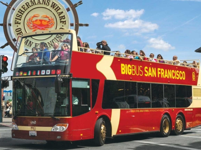 SF1-10863 gallery 3