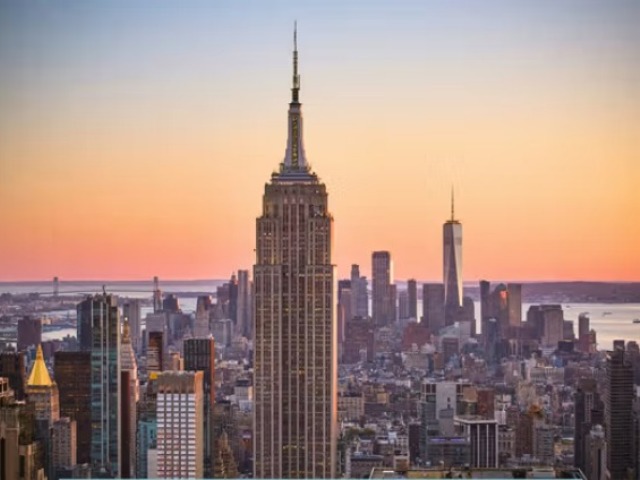 NY-T-11950 gallery 2