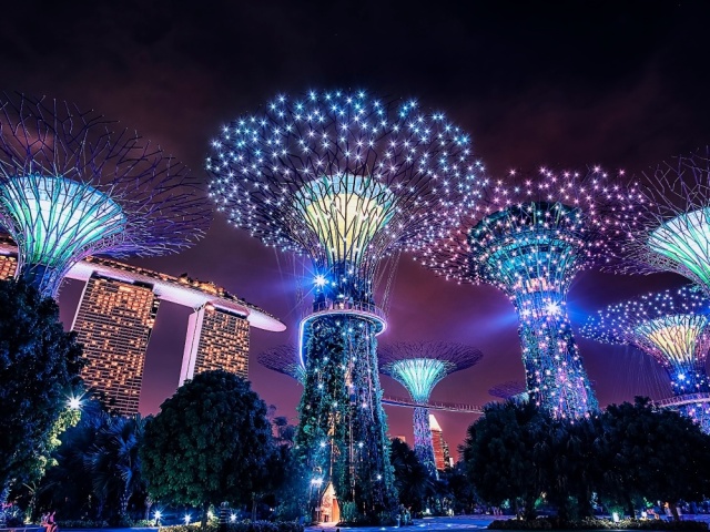 Singapore Gardens by the Bay Pass