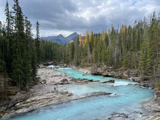 Calgary Airport Pickup + Columbia Glacier + Banff National Park + Lake Louise + Moraine Lake + Kamloops + Vancouver 5-Day Tour