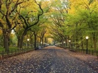 纽约出发4日游：NY4-13956