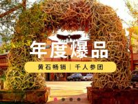 盐湖城出发黄石公园、黄石公园小木屋、舒适小团、黄石公园小团5日游：SL5-9975
